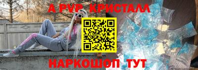 СК Владивосток