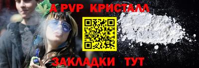 СК Владивосток