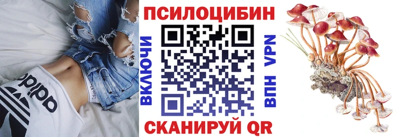 Галлюциногенные грибы Cubensis  где купить наркоту  Белореченск 